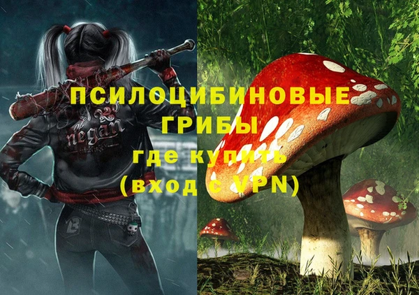 a pvp Надым