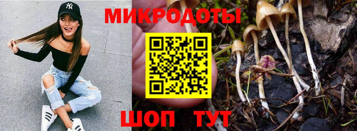 Псилоцибиновые грибы мицелий  Вход с VPN  Славянск-на-Кубани 