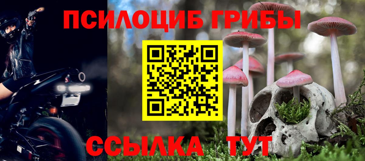 Галлюциногенные грибы Cubensis  Славянск-на-Кубани 